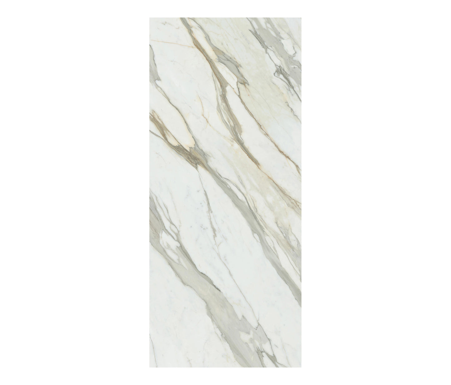 Porcelanato Cosmopolitan Calacatta Gold CP02 Lucido 60x120 9MM M2